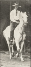 Plate 604 'Elberon' trotting, saddled — figure reference